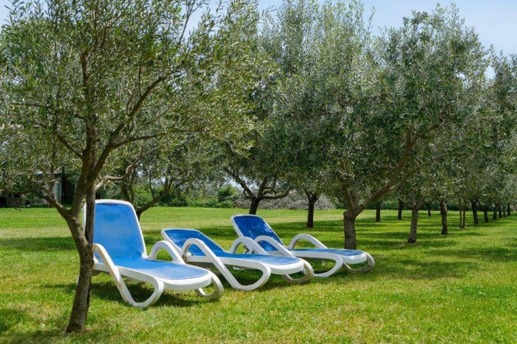 Appartamento Uliveto